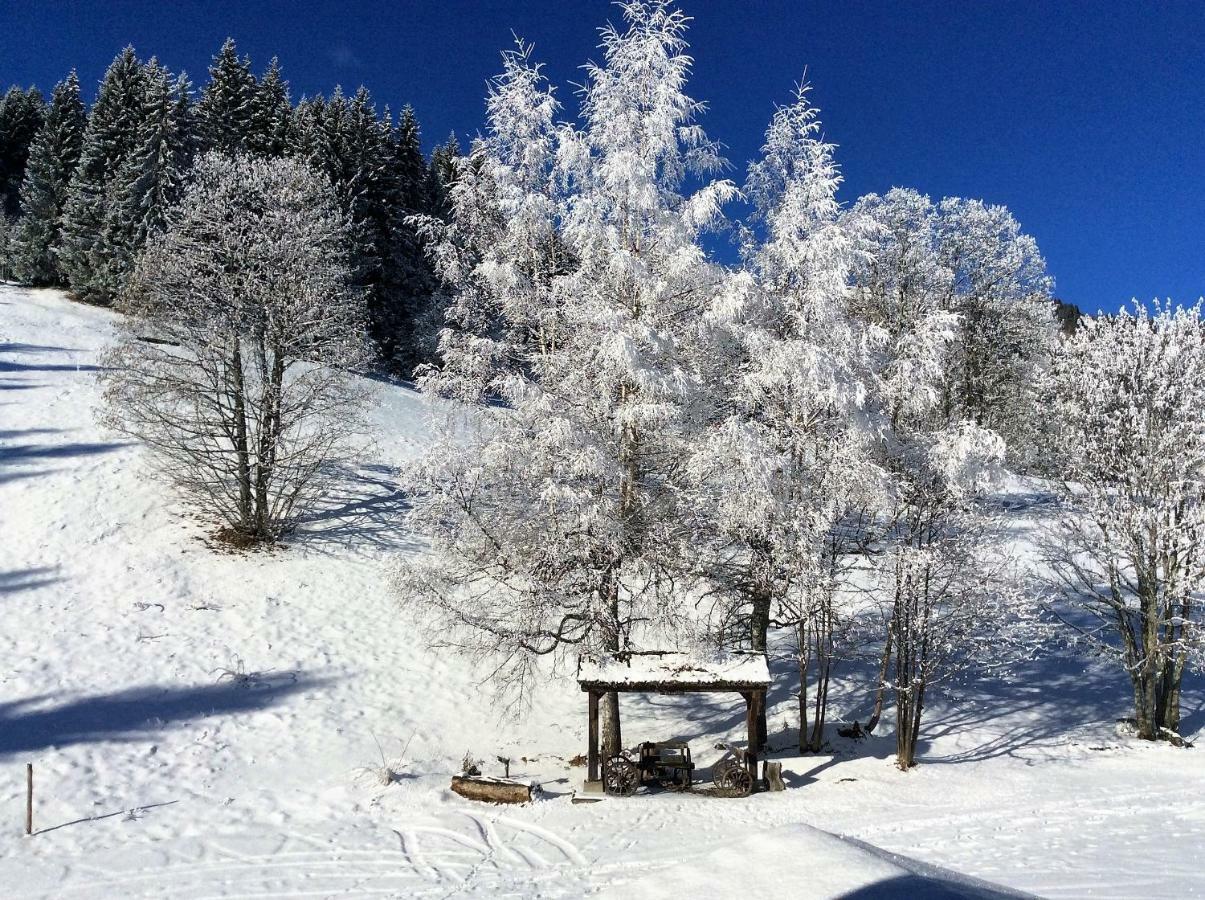 Вилла Le Refuge Кордон Экстерьер фото